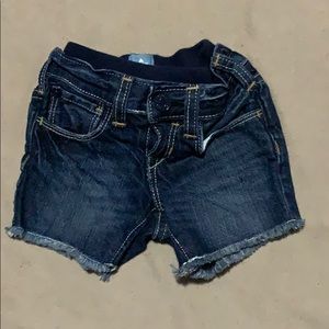 Baby boys shorts